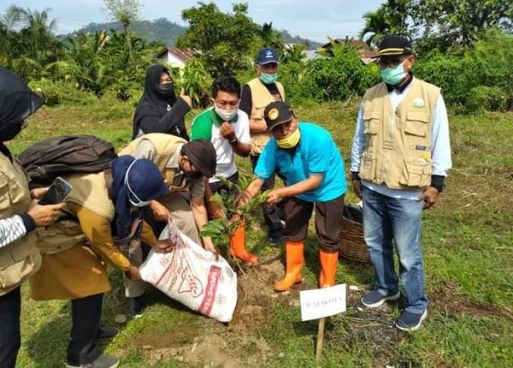 KPS Pelangi Tanam Bibit Pohon Produktif di Sepanjang Aliran Sungai Batang Jirak Pagambiran