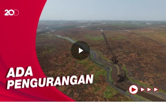 Penampakan Perubahan Hutan Kalimantan dari 1990 hingga Sekarang