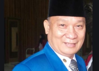 BNSP dan LSP Pers Indonesia Cemerlang, Dewan Pers Kalap
