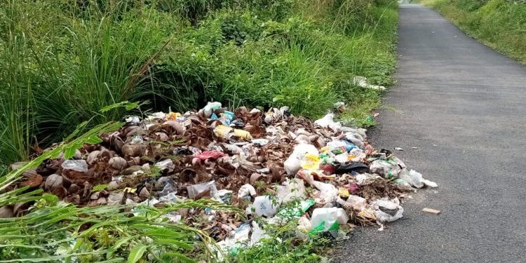 Sampah Yang Menumpuk di Pinggir Jalan Poros Jayaloka, Menimbulkan Bau Tak Sedap.