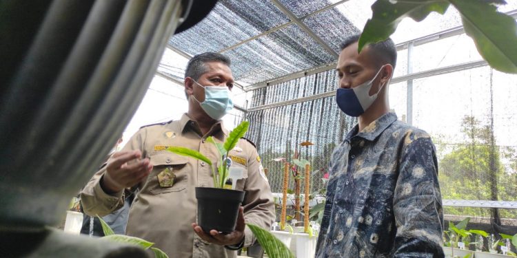 Karantina Pertanian Lampung Bimbing Pecinta Tanaman Hias di Pekalongan ke-Pasar Internasional