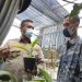 Karantina Pertanian Lampung Bimbing Pecinta Tanaman Hias di Pekalongan ke-Pasar Internasional
