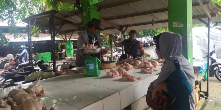Pantau Harga dan Stok Ayam di Pasar, Babinsa Koramil 431-02/Mentok Komsos Dengan Pedagang Ayam