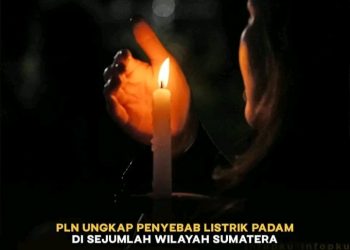 Listrik Padam Pimpinan PT PLN Persero Minta Maaf, Ketua KNPI Riau Segera Buat Laporan