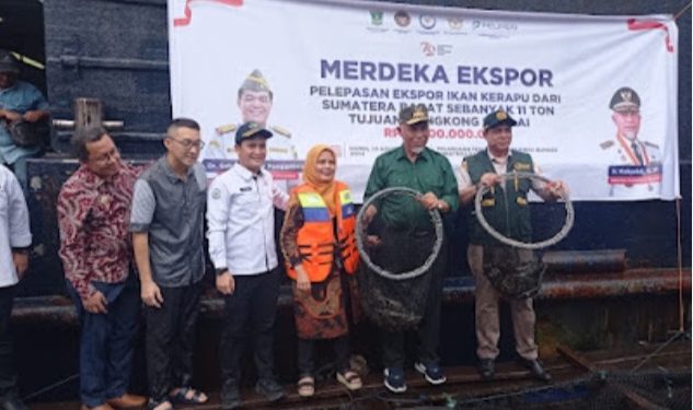 Potensi Budidaya Lopster dan Ikan Kerapu di Sumbar Sangat Menjanjikan